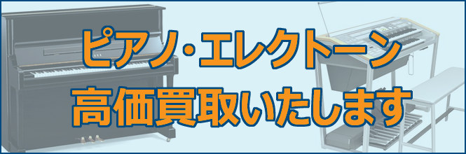 bn665_pekaitori